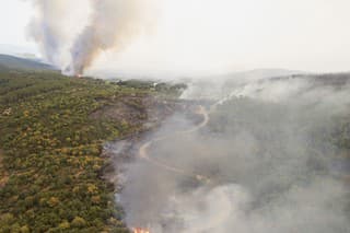 Zuhoľnatené stromy a plamene počas lesných požiarov v Grécku.
