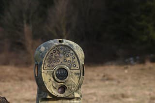 Fotopasca monitoruje život v lese.