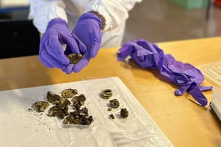 Amatér detektorom objavil súbor zlatých šperkov zo 6. storočia.