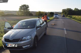 Policajti zaevidovali na cestách v okrese Bánovce nad Bebravou a Partizánskom tri kolízie áut s lesnou zverou.