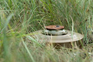 Anti-tank mine hidden in the grass in the minefield, close-up.