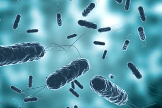 Colony of vibrio cholera seen by electron microscope. Selective Focus. 3D rendering