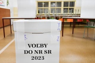 Ženy v