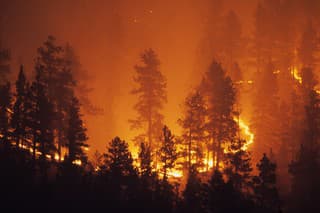 A forest glows as the fire burns out of control on a mountain hillside in the Pike National Forest behind the Platte Canyon High School as it works it way through the pine trees above highway 285 near the small town of Bailey, Colorado.