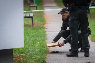 Muža, ktorý strieľal v bratislavskom Ružinove, zadržala polícia