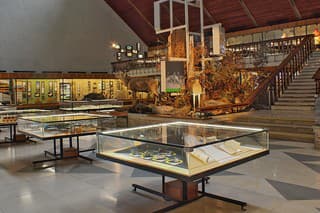 Múzeum TANAP-u
