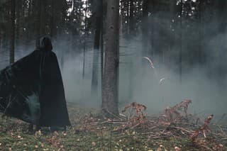 A mysterious man in a raincoat is walking through a misty forest. Mystical background.