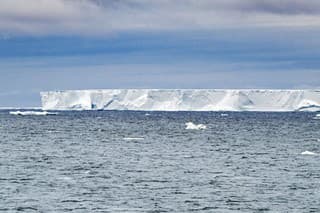 Veľké ľadovce sú zdrojom minerálnych živín pre morské živočíchy.