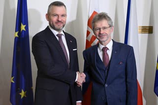 Predseda Národnej rady (NR) SR Peter Pellegrini odcestoval vo štvrtok ráno na oficiálnu návštevu Českej republiky. 