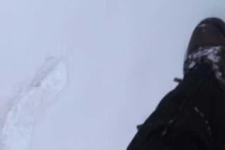 Ján počas prechádzky na náučnom chodníku Kyslinky narazil na obrovské medvedie stopy v snehu.