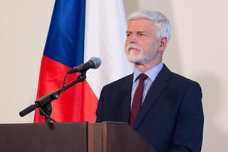 Prezident Českej republiky.