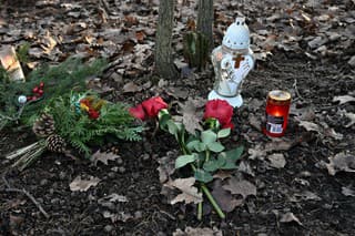 Krvavá vražda otca s bábätkom sa stala v lesíku v pražskej štvrti Klánovice.