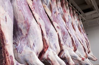 Cow carcasses in slaughterhouse