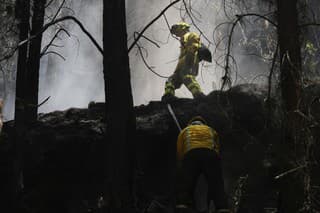 Kolumbia žiada svet o pomoc v boji proti lesným požiarom.