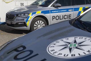 Na snímke českí policajti náhodne kontrolujú osobné motorové vozidlá na česko-slovenskej hranici.
