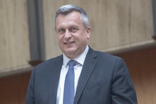Podpredseda Národnej rady (NR) SR a predseda Slovenskej národnej strany (SNS) Andrej Danko.