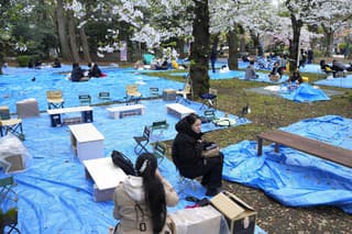 Davy ľudí si v Tokiu robia pikniky a sledujú kvitnutie japonských čerešní.