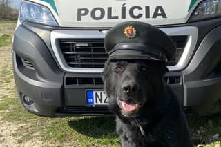 Rozkošný policajný parťák Jairo má tri roky a je verným služobným psom