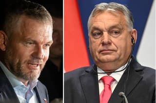 Viktor Orbán v nedeľu zablahoželal Petrovi Pellegrinimu k víťazstvu v prezidentských voľbách.