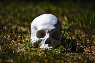 Human skull outdoors in high-contrast moody shot.