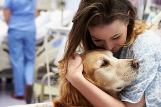 Sweet Loving Therapy Dog Visiting Young Happy Female Patient In Hospital
