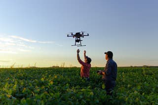 Drone no copyright in a soybean field,