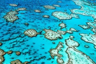 The Great Barrier Reef in north Queensland,Australia.