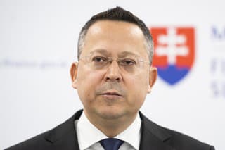 Ladislav Kamenický (2019 - 2020), Smer-SD

