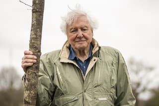 Legendárny britský prírodovedec a moderátor David Attenborough.