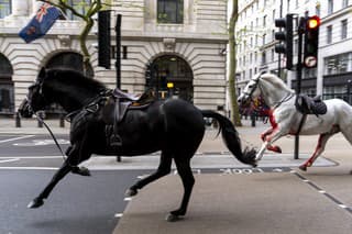 Ulicami Londýna sa preháňali splašené armádne kone.