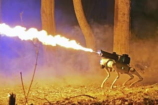 Robotický pes s plameňometom za 8 805 eur