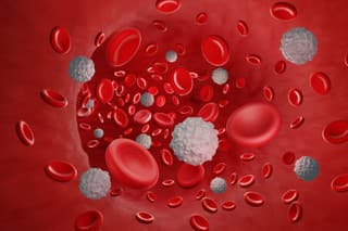 3D ilustrácia zobrazujúca biele a červené krvinky v cieve (ilustračná fotografia).