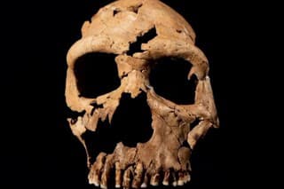 Vedci museli lebku neandertálkyne znovu poskladať.