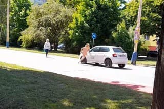 Po Prešove behala nahá žena.