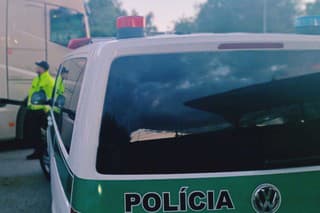 Banskobystrickí policajti odhalili počas dopravno-preventívnej kontroly kamiónov z nedele (12. 5.) na pondelok 20 správnych deliktov. 