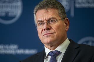 Súčasný podpredseda exekutívy EÚ Maroš Šefčovič.