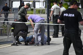 Na snímke policajti zatýkajú muža po streľbe na predsedu vlády Roberta Fica na výjazdovom rokovaní vlády v Handlovej v okrese Prievidza v stredu 15. mája 2024.