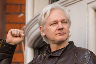 Assange zverejnil