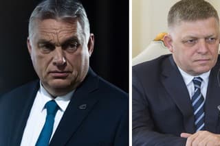 Viktor Orbán (vľavo) je politickým spojencom Roberta Fica.
