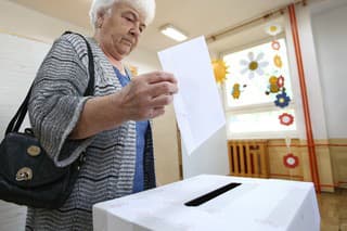 Na Slovensku sa v sobotu začali v poradí piate voľby do Európskeho parlamentu.