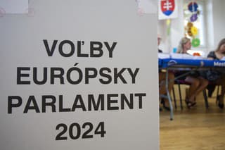 Na Slovensku sa v sobotu začali v poradí piate voľby do Európskeho parlamentu.