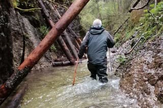Všetky rokliny v Slovenskom raji sú pre vysoký stav vody uzavreté