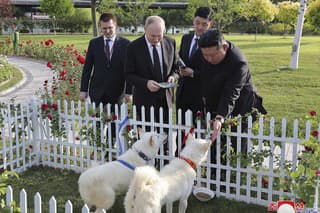 Severokórejský líder Kim Čong-un ukazuje ruskému prezidentovi Vladimirovi Putinovi pár psov kórejskej rasy pchungsan počas ich stretnutia v Pchjongjangu.