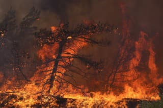 K zvýšenému riziku lesných požiarov prispieva zmena klímy a extrémne počasie.