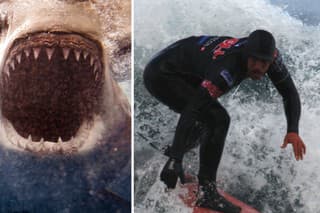 Pri útoku žraloka zahynul známy surfer! Hral v Pirátoch z Karibiku