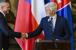 Na snímke slovenský prezident Peter Pellegrini a český prezident Petr Pavel.