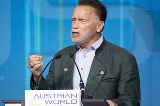 Arnold Schwarzenegger (76)