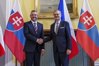 Na snímke zľava slovenský prezident Peter Pellegrini a český premiér Petr Fiala počas stretnutia v Prahe v stredu 26. júna 2024.