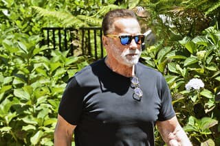 Schwarzenegger sa