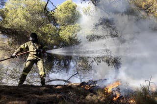Grécko sužujú lesné požiare aj tento rok.